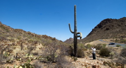 Arizona - Grant and Cactus